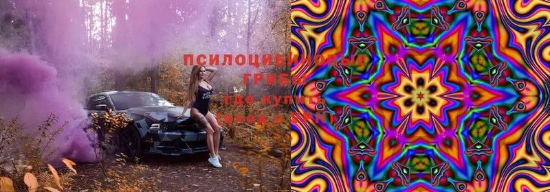 Псилоцибиновые грибы MAGIC MUSHROOMS  Анапа 