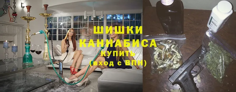 Канабис OG Kush  Анапа 